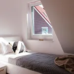 Nr 19 - 