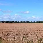 Nr 19 - 